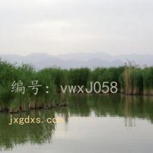 ҵ