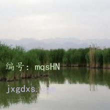 Ŀ