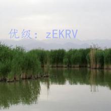 ׶
